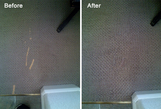 Carpet bleach Spot Repair