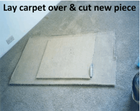 Carpet Patch 